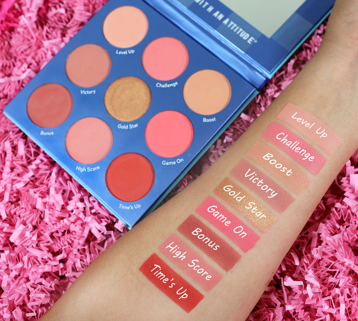 Blush Crush 9 Color Blush On Palette - Level Up Swatch